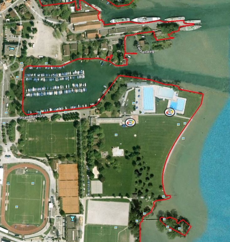 Ausschnitt Thunersee aus Google Earth